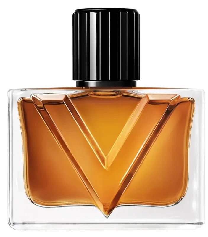 Valentino Vendetta Uomo EdP 50 ml toote foto