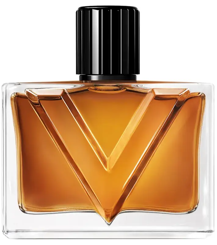 Valentino Vendetta Uomo EdP 90 ml toote foto